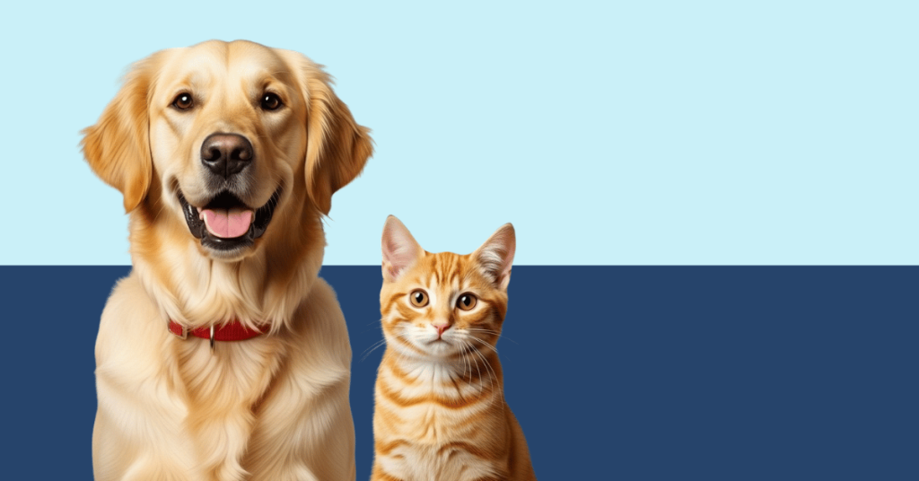 cat and dog with happy face - Pets Hub Online